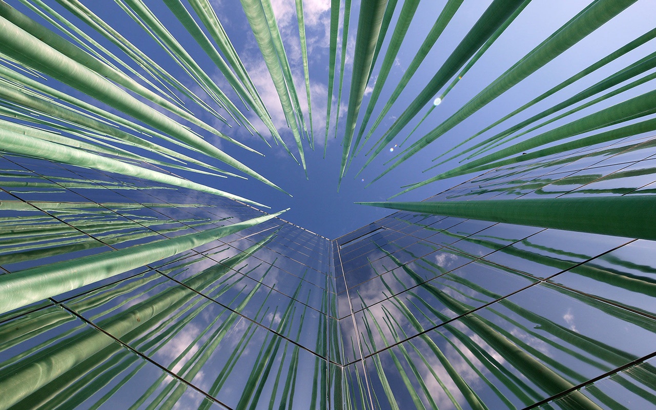 世博会展览